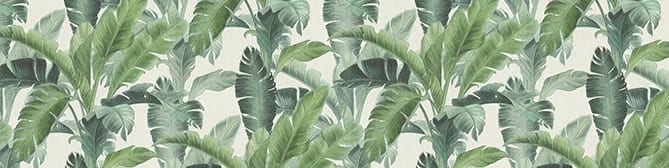 Grandes feuilles de bananier vertes peintes sur un fond crème