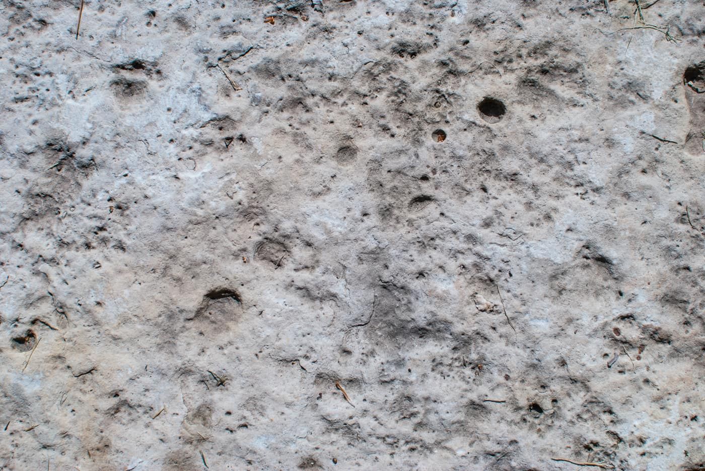 Surface de béton gris clair vue de très près, grain et micro-bulles visibles en lumière rasante