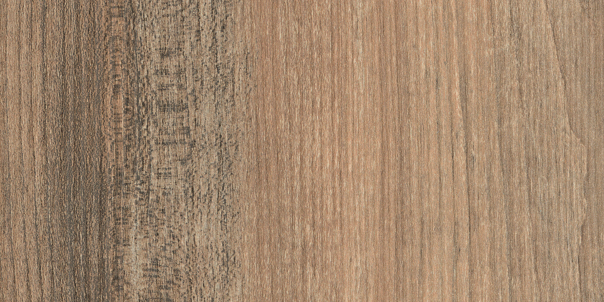 Hpl_HFO Lam_HPL Forest