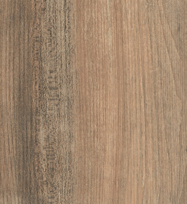 Hpl_HFO Lam_HPL Forest