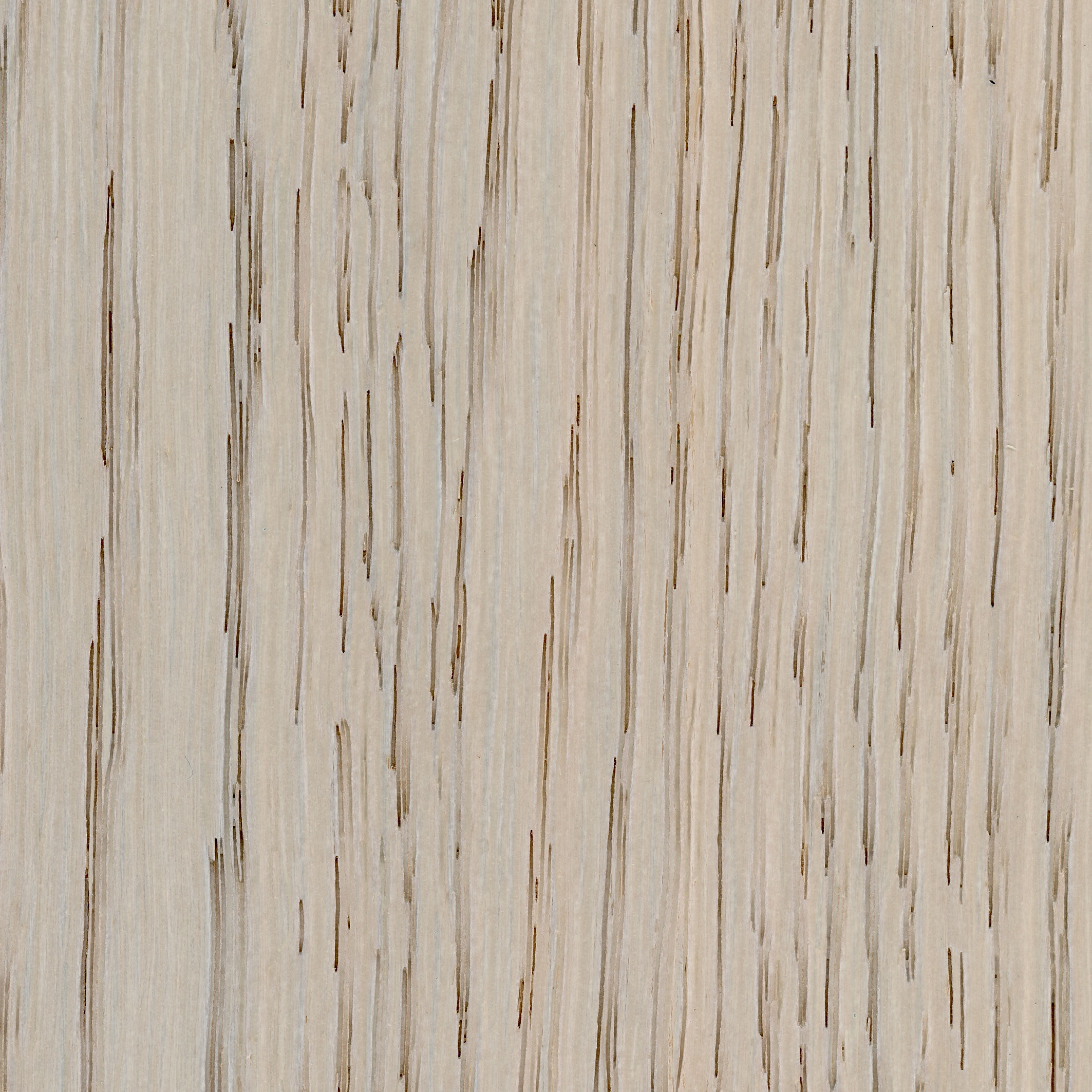 Imp_fiammato E1A Rovere Tinto Talco-image