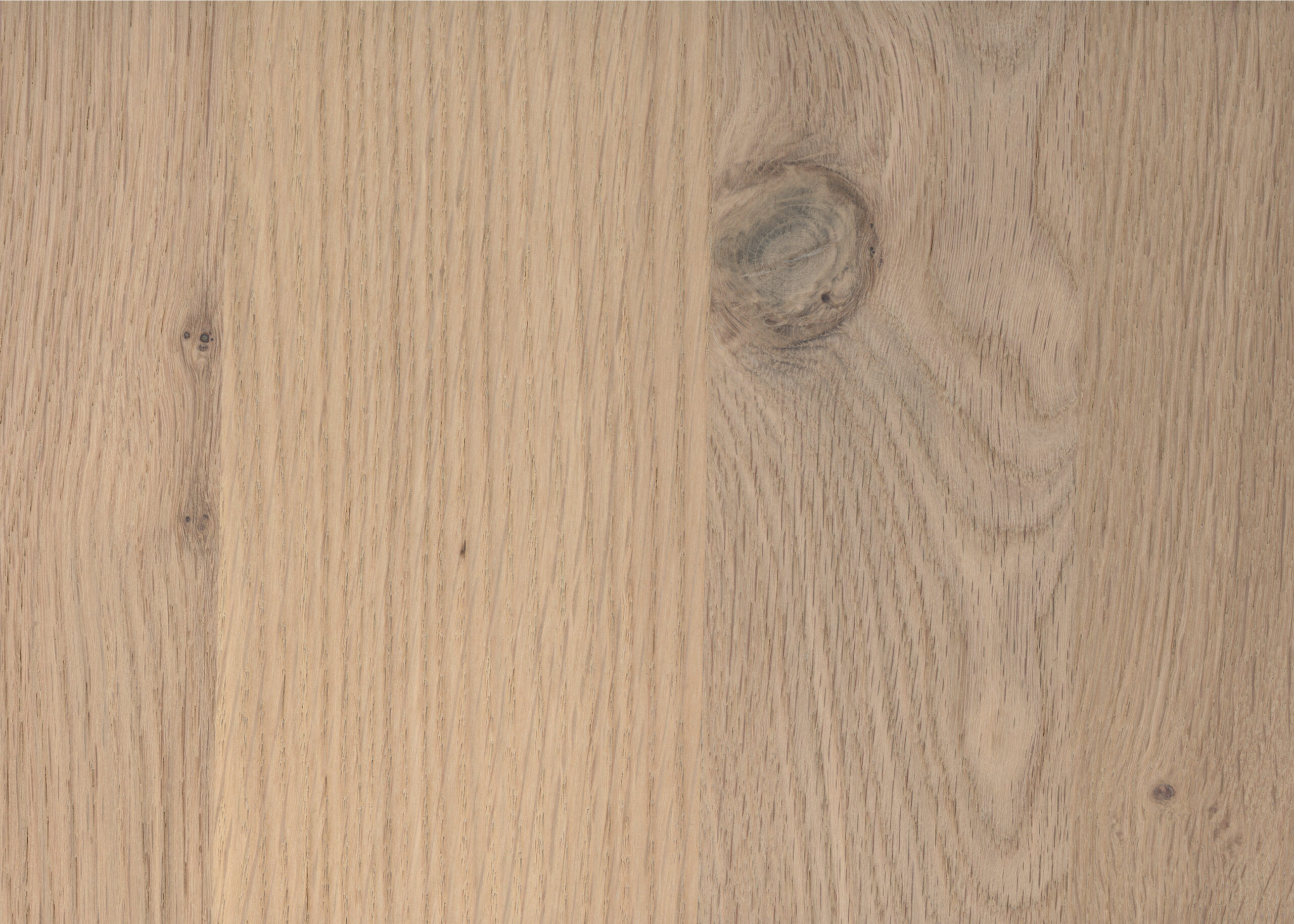 Imp_fiammato Rovere Tinto Nordico-image