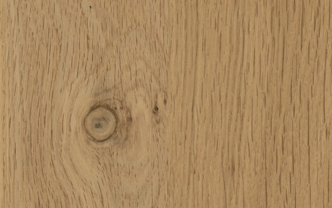 Imp_nodato Rovere Vecchio NODATO 1